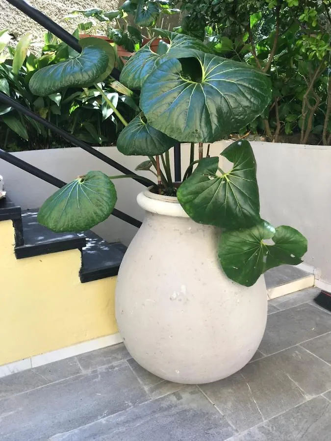Apartmán Casa Perla Lavagna